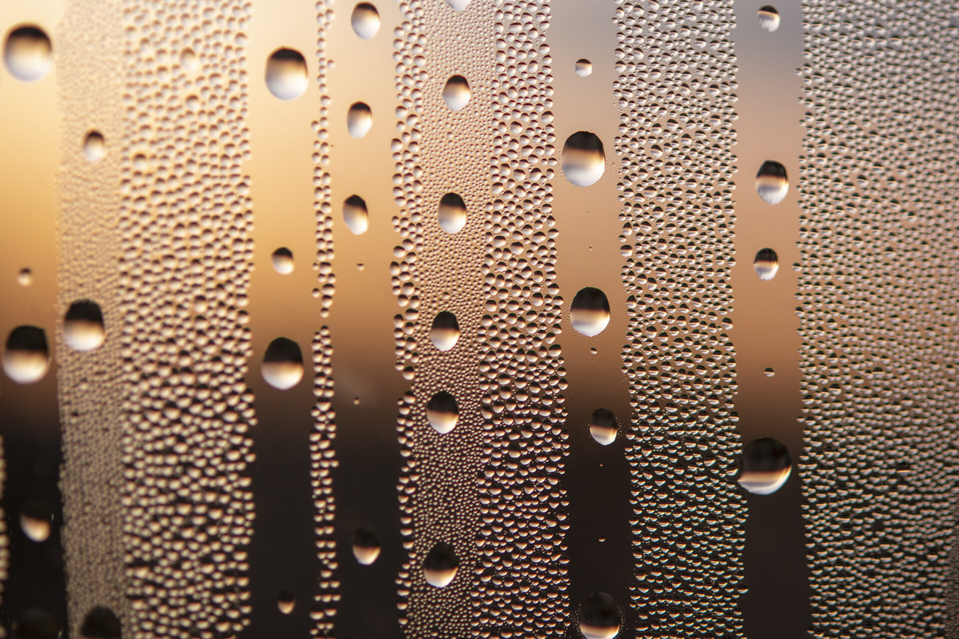 Window Droplets, Middlebury, Vermont, condensation