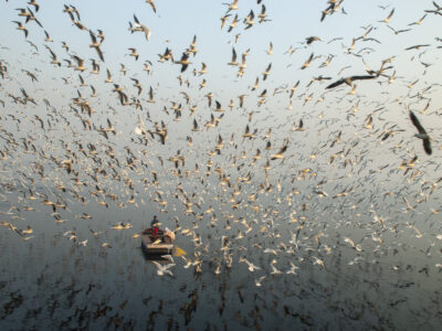 Yamuna River, New Delhi, India. 2006