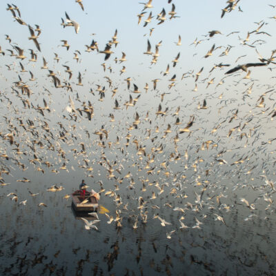 Yamuna River, New Delhi, India. 2006