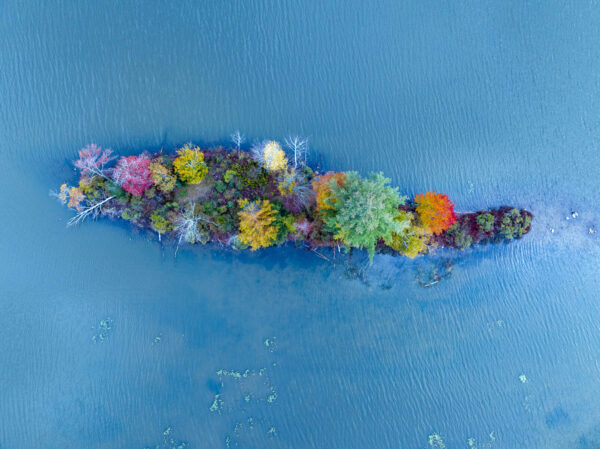 Island with Fall Foliage, Echo Lake, Plymouth, Vermont