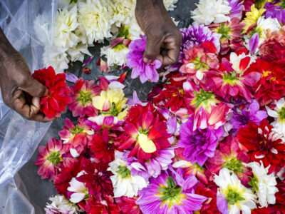 Flower Vendor, Kolkata, India
