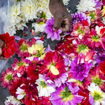 Flower Vendor, Kolkata, India