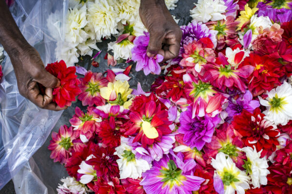 Flower Vendor, Kolkata, India