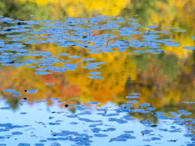 Fall Reflection, Sudbury, Vermont