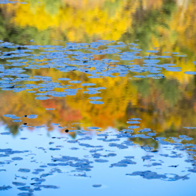 Fall Reflection, Sudbury, Vermont