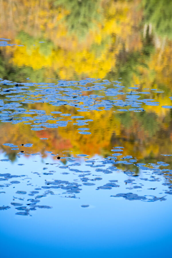 Fall Reflection, Sudbury, Vermont