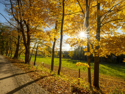 Ridge Road, Cornwall, Vermont