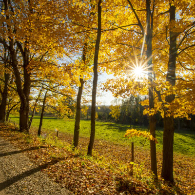 Ridge Road, Cornwall, Vermont