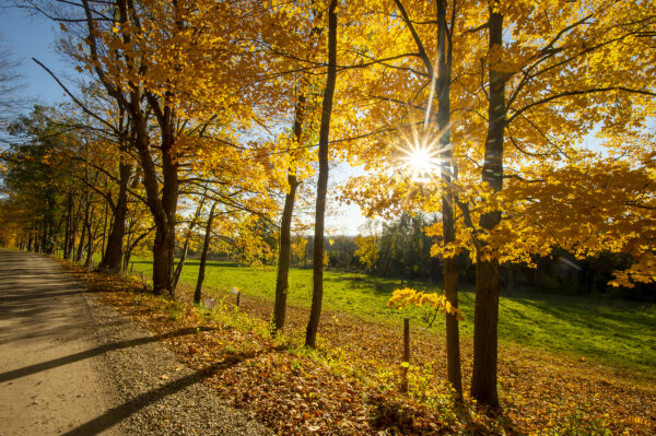 Ridge Road, Cornwall, Vermont