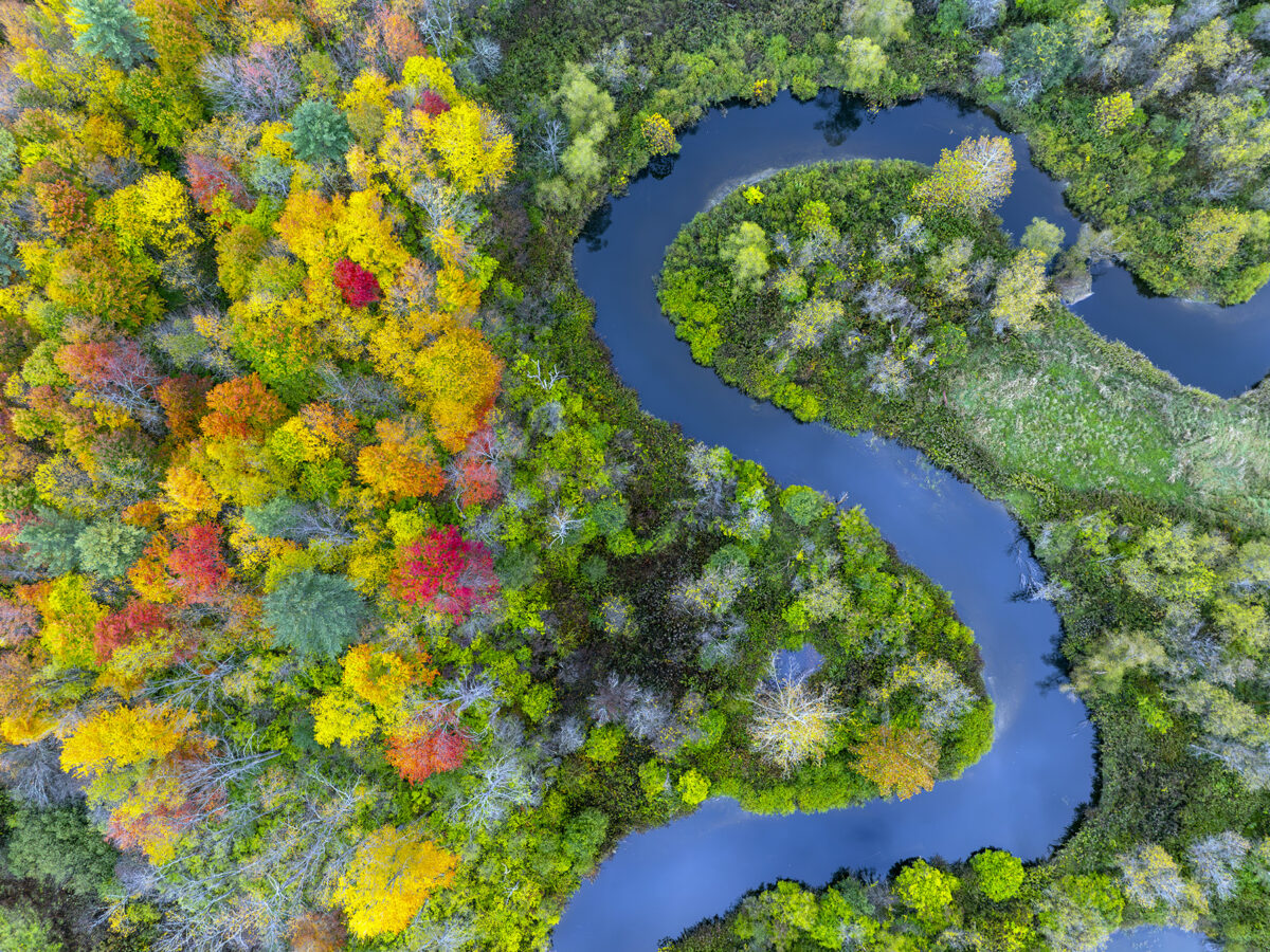 Fall colors, Otter Creek, Danby, Vermont