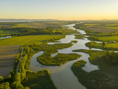 Dead Creek in June, Addison, Vermont, wetlands, habitat