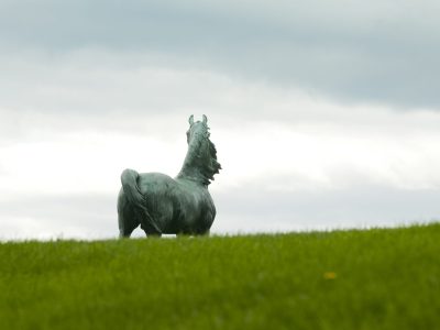 UVM Morgan Horse Farm, Weybridge, Vermont