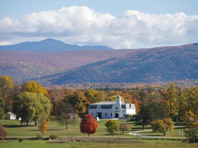 UVM Morgan Horse Farm in Fall, Weybridge, Vermont