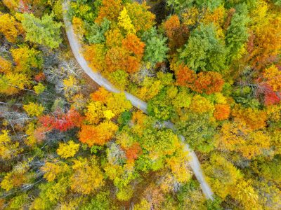 Sudbury Fall Road, Vermont