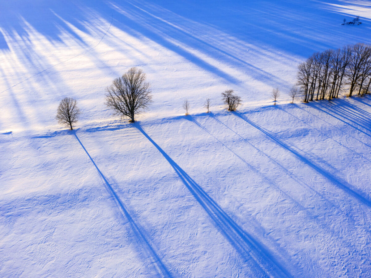 Winter Shadows, Cornwall, Vermont