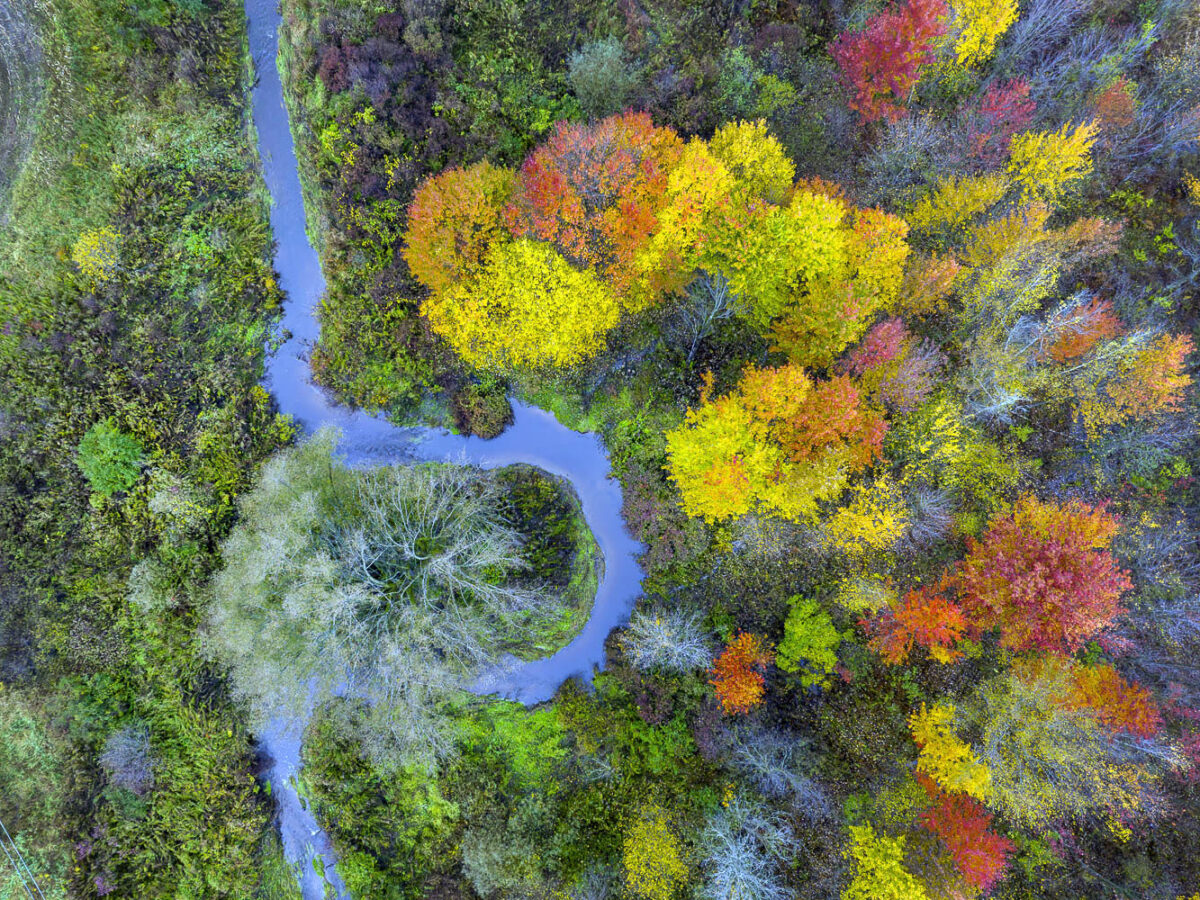 Fall Foliage and Winding River, Middlebury, Vermont