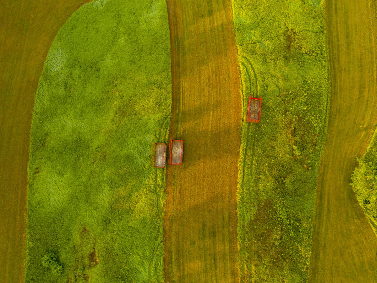 Three Wagons, Weybridge, Vermont