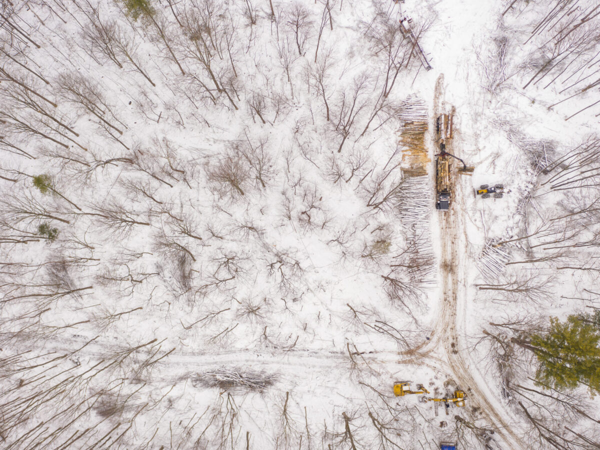 Winter Logging, Brandon, Vermont