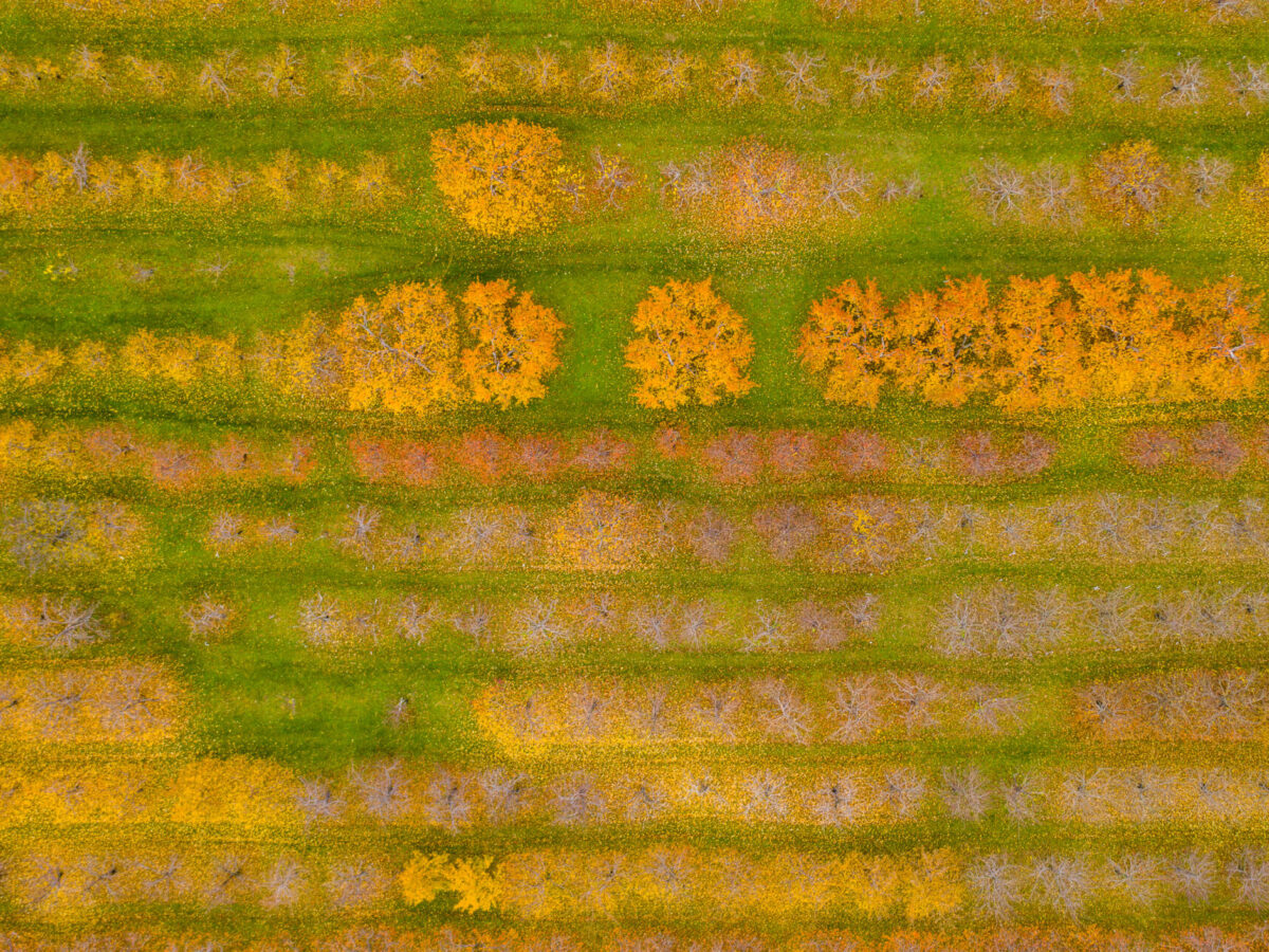 Happy Valley Orchard, Middlebury, Vermont
