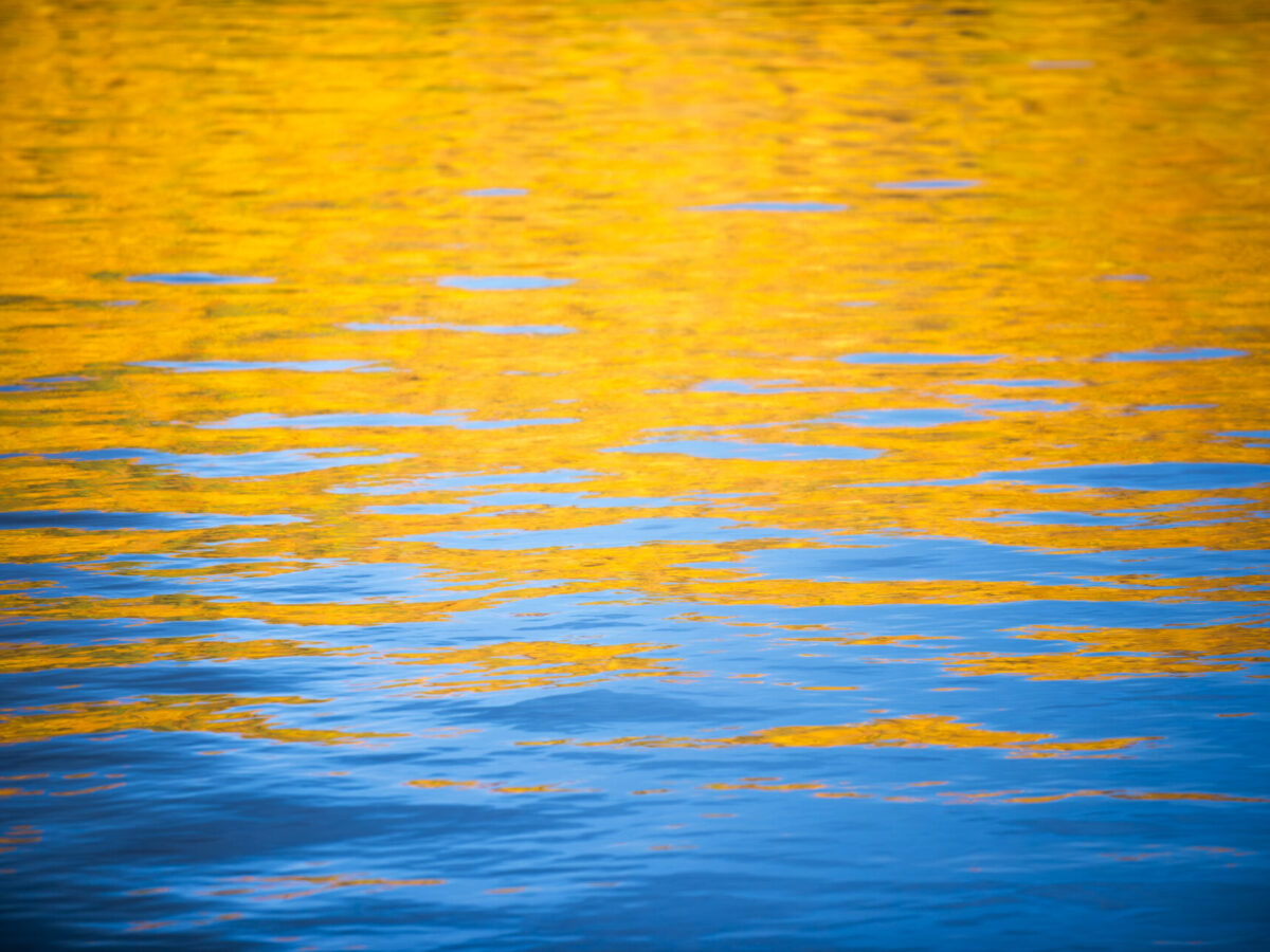 Lake Dunmore, Vermont, 2017