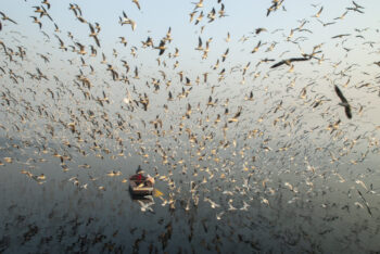 Yamuna River, New Delhi, India. 2006 Yamuna River, New Delhi, India. 2006