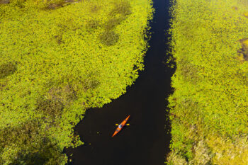 Lake Hortonia, Vermont