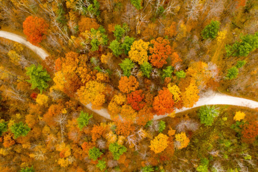 Sudbury, Vermont Fall foliage, Sudbury, Vermont