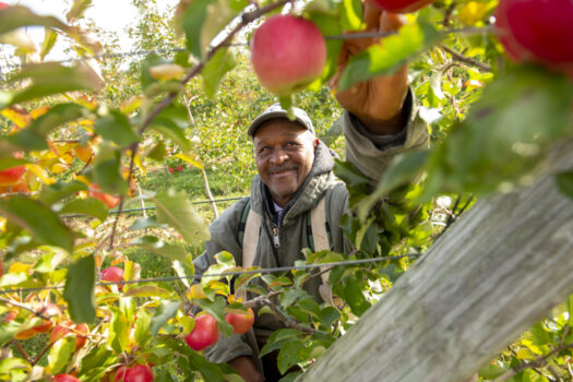 Champlain Orchards, Shoreham